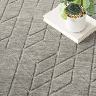 Nourison Alessia ALE01 Grey Area Rug by Reserve Collection