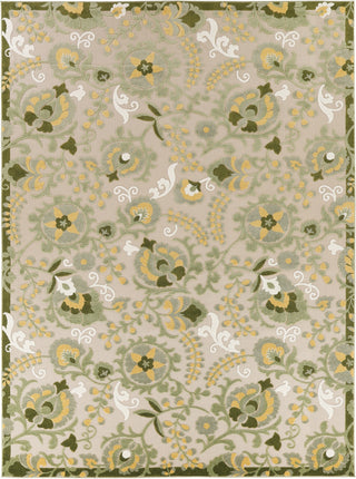 Nourison Aloha ALH17 Ivory Green Area Rug 