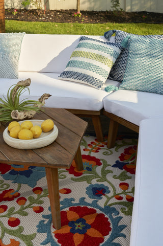 Nourison Aloha ALH17 Multicolor Area Rug 