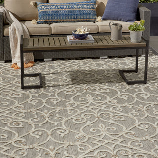Aloha ALH21 Natural Area Rug by Nourison 