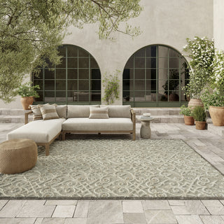 Aloha ALH21 Natural Area Rug by Nourison 