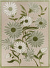 Nourison Aloha ALH33 Ivory Green Area Rug main image