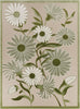 Nourison Aloha ALH33 Ivory Green Area Rug 