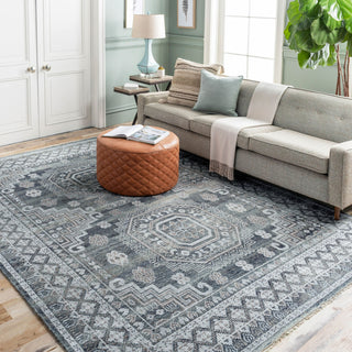 Surya Almeria ALM-2300 Area Rug Room Scene Feature