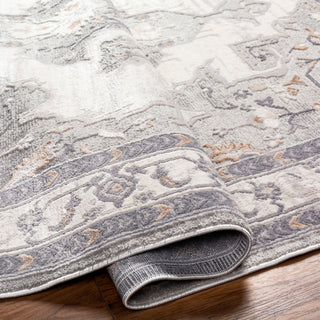 Livabliss Alamo ALO-2300 Area Rug Pile