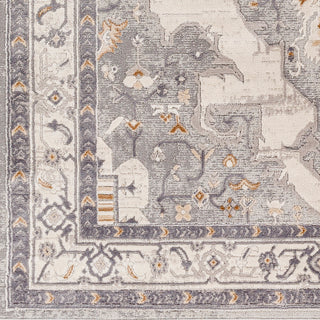Livabliss Alamo ALO-2300 Area Rug Swatch