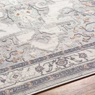Livabliss Alamo ALO-2300 Area Rug Detail