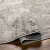 Livabliss Alamo ALO-2304 Area Rug Pile