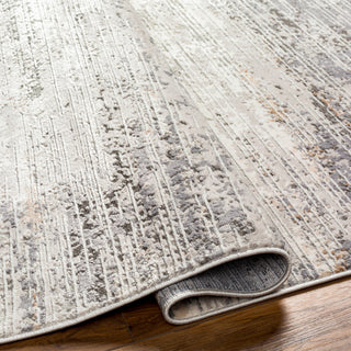 Livabliss Alamo ALO-2305 Area Rug Pile
