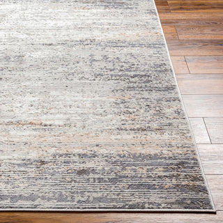 Livabliss Alamo ALO-2305 Area Rug Angle