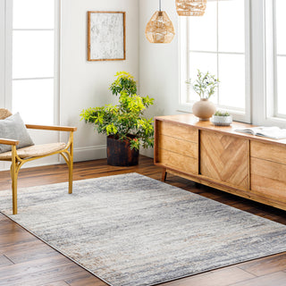 Livabliss Alamo ALO-2305 Area Rug Room Scene Feature