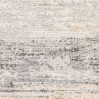 Livabliss Alamo ALO-2305 Area Rug Swatch
