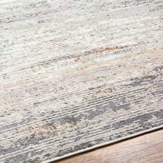 Livabliss Alamo ALO-2305 Area Rug Detail