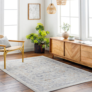 Livabliss Alamo ALO-2307 Area Rug Room Scene Feature