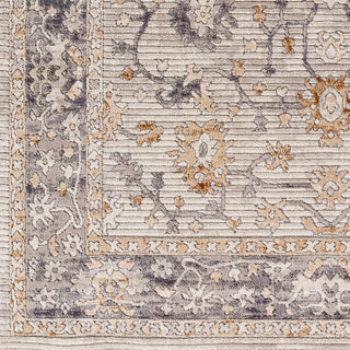 Livabliss Alamo ALO-2307 Area Rug Swatch