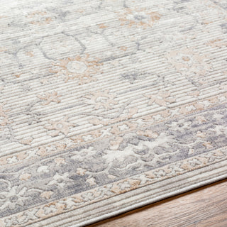 Livabliss Alamo ALO-2307 Area Rug Detail