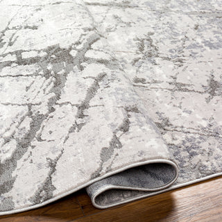 Livabliss Alamo ALO-2312 Area Rug Pile