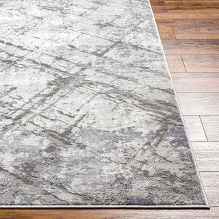 Livabliss Alamo ALO-2312 Area Rug Angle