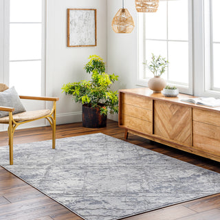 Livabliss Alamo ALO-2312 Area Rug Room Scene Feature