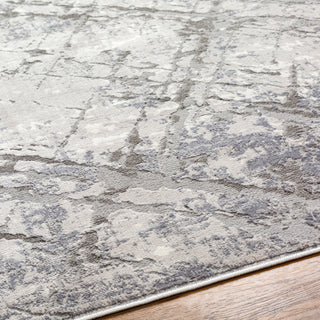 Livabliss Alamo ALO-2312 Area Rug Detail