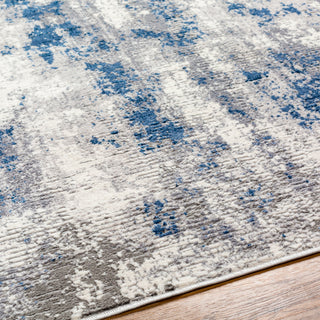 Livabliss Alamo ALO-2314 Area Rug Detail
