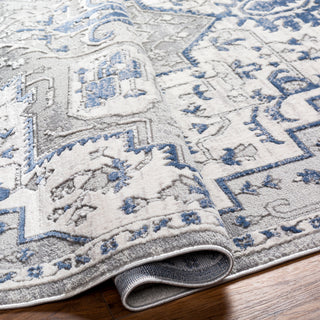 Livabliss Alamo ALO-2315 Area Rug Pile