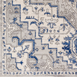 Livabliss Alamo ALO-2315 Area Rug Swatch