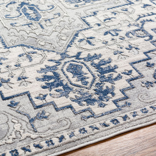 Livabliss Alamo ALO-2315 Area Rug Detail