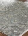 Ancient Boundaries Augustine AUG-1004 Grey Area Rug main image