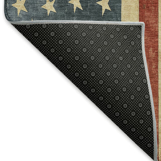 Dalyn Americana AM1 Red Machine Washable Area Rug Backing Image