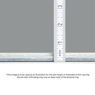 Dalyn Americana AM1 Red Machine Washable Area Rug Depth Image