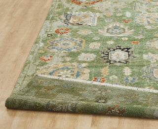 Ancient Boundaries Augustine AUG-1009 Dove Grey Area Rug Closeup Image