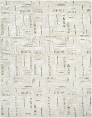 Surya Amina AMA-2303 Area Rug Main