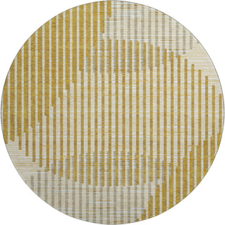Piper Looms Mayfield Circles AMF1001 Gold Machine Washable Area Rug Round Main Image