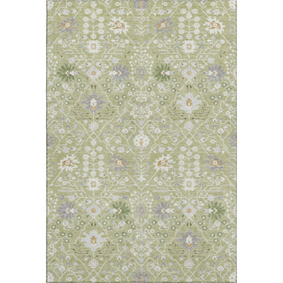 Piper Looms Mayfield Oriental AMF1009 Aloe Machine Washable Area Rug main image