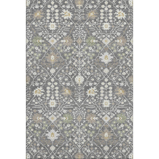 Piper Looms Mayfield Oriental AMF1009 Charcoal Machine Washable Area Rug main image
