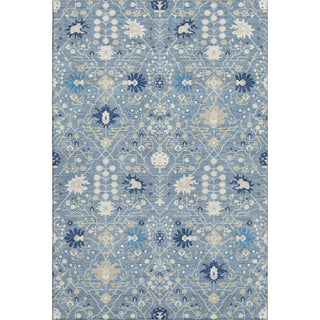 Piper Looms Mayfield Oriental AMF1009 Denim Machine Washable Area Rug main image