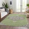 Piper Looms Mayfield Oriental AMF1011 Aloe Machine Washable Area Rug Lifestyle Image Feature