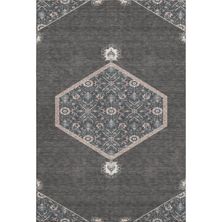 Piper Looms Mayfield Oriental AMF1011 Charcoal Machine Washable Area Rug main image