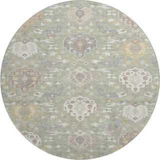 Piper Looms Mayfield Damask AMF1026 Aloe Machine Washable Area Rug Round Main Image