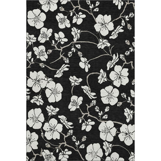 Piper Looms Mayfield Floral AMF1032 Black Machine Washable Area Rug main image