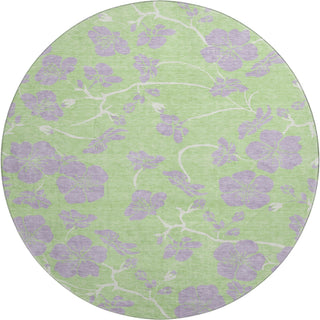 Piper Looms Mayfield Floral AMF1034 Mint Machine Washable Area Rug Round Main Image