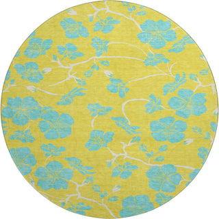 Piper Looms Mayfield Floral AMF1034 Yellow Machine Washable Area Rug Round Main Image