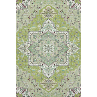 Piper Looms Mayfield Oriental AMF1036 Green Machine Washable Area Rug main image