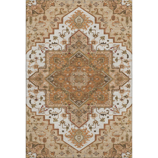 Piper Looms Mayfield Oriental AMF1036 Terracotta Machine Washable Area Rug main image