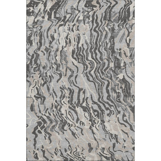 Piper Looms Mayfield Swirls AMF1038 Gray Machine Washable Area Rug main image