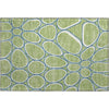 Piper Looms Mayfield Circles AMF1041 Aloe Machine Washable Area Rug Scatter Main Image