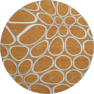 Piper Looms Mayfield Circles AMF1041 Paprika Machine Washable Area Rug Round Main Image