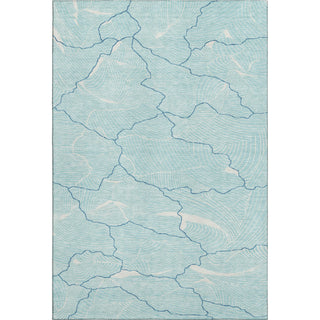 Piper Looms Mayfield Lines AMF1048 Aqua Machine Washable Area Rug main image