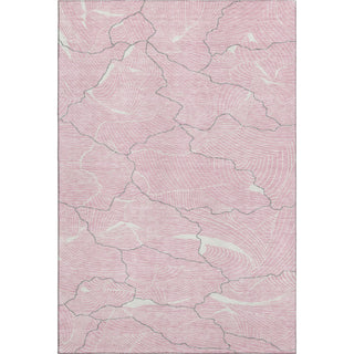 Piper Looms Mayfield Lines AMF1048 Pink Machine Washable Area Rug main image